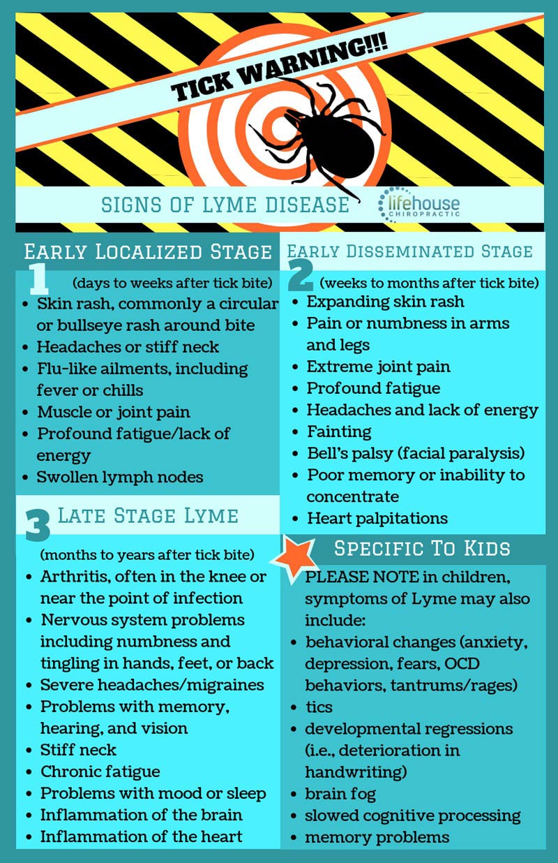 Infographic of the early warning signs of lyme disease should you or a loved one be bitten by a tick