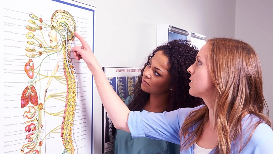 lifehousechiropractic_img32